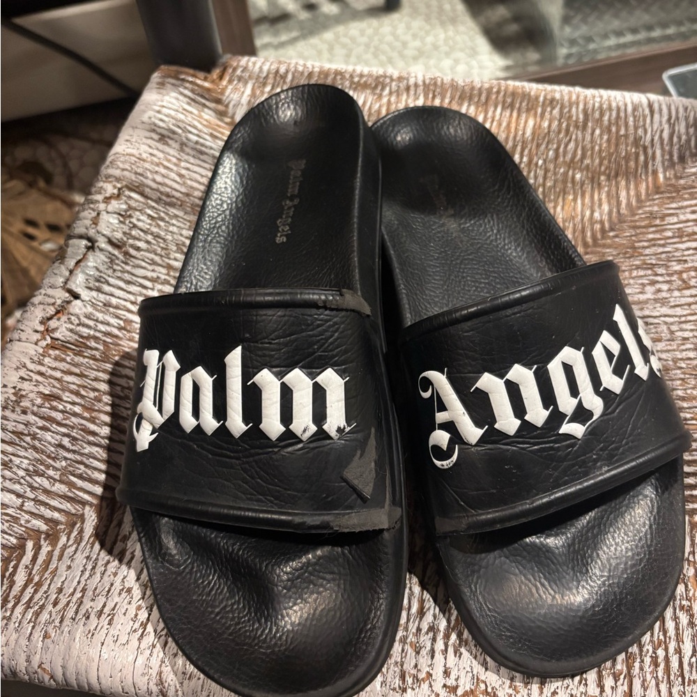 PALM ANGEL SLIDES